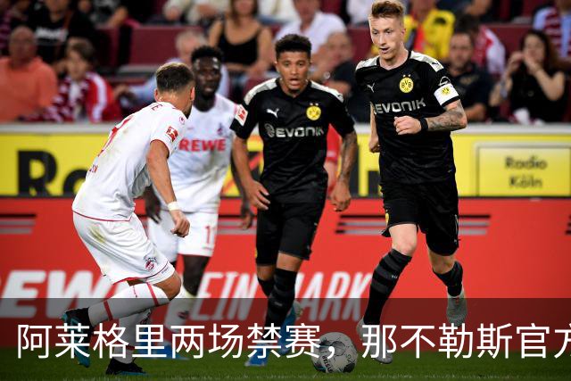 阿莱格里两场禁赛，那不勒斯官方上诉：要讨个说法